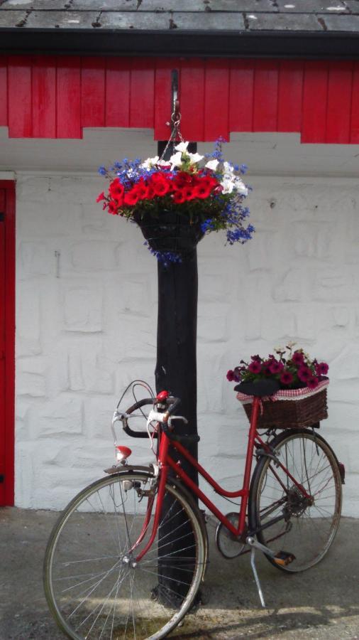 Cummins Cottages Ballycrossaun エクステリア 写真