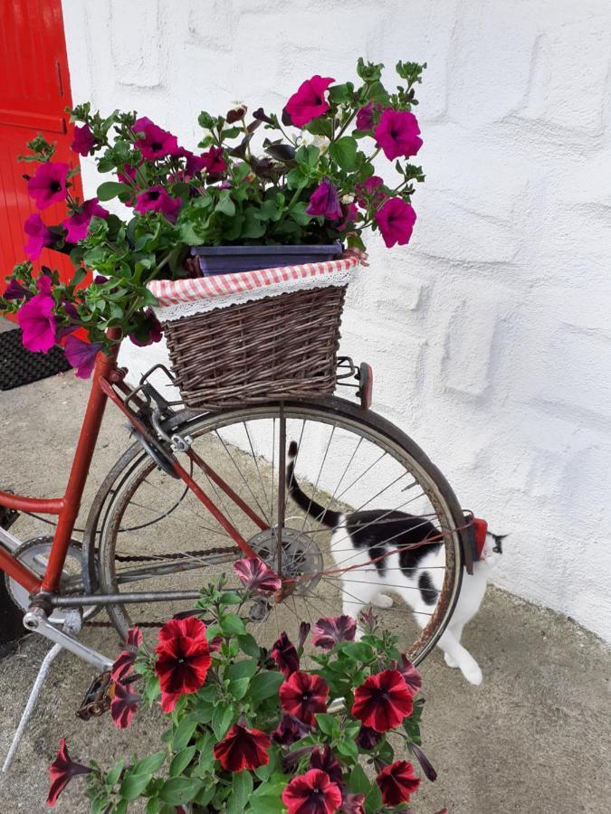 Cummins Cottages Ballycrossaun エクステリア 写真