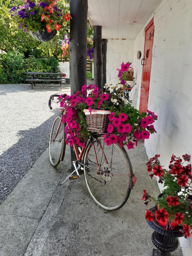 Cummins Cottages Ballycrossaun エクステリア 写真