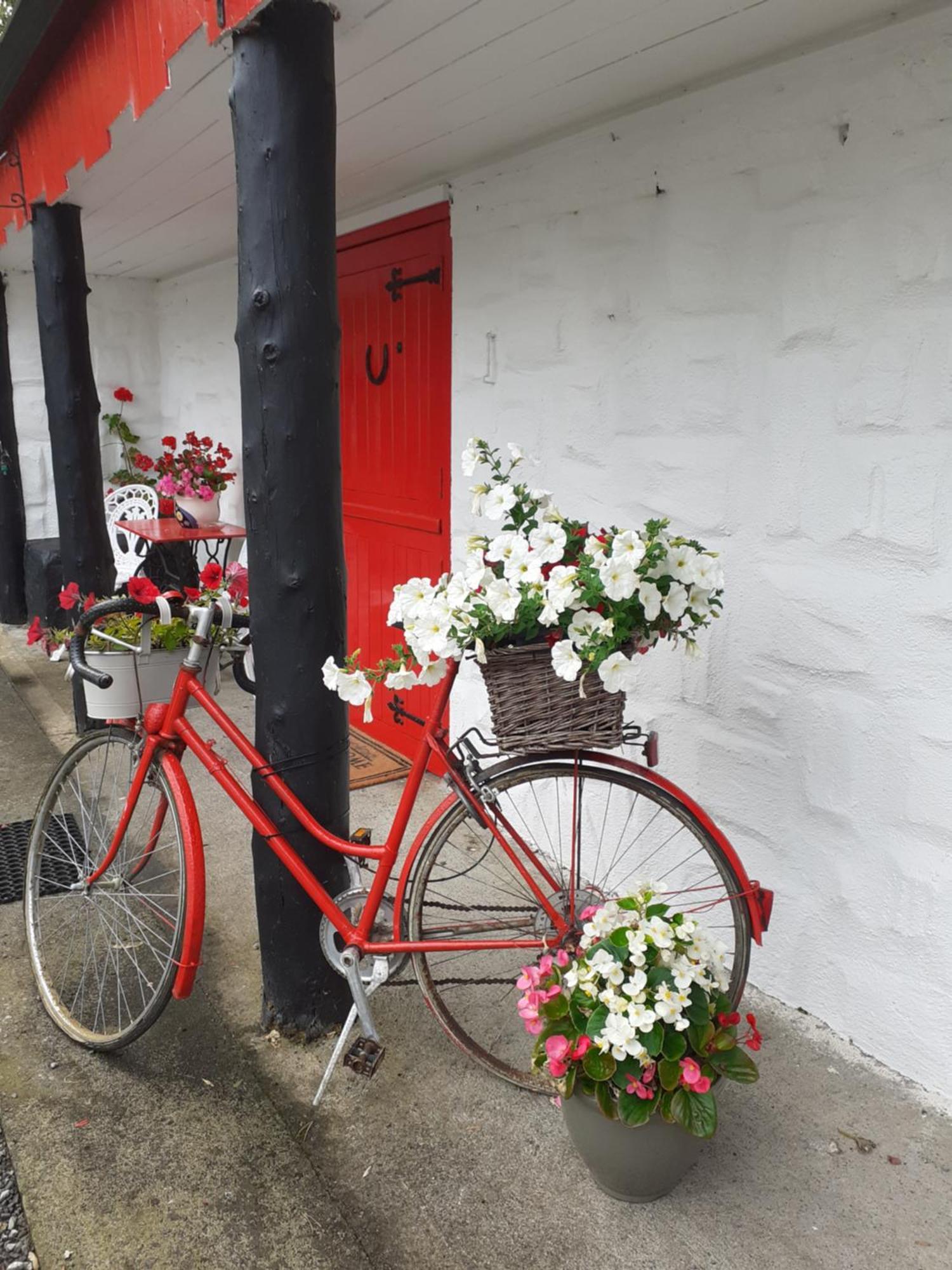 Cummins Cottages Ballycrossaun エクステリア 写真