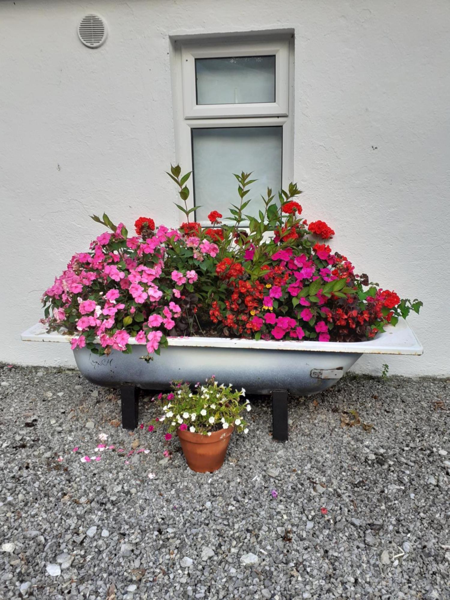 Cummins Cottages Ballycrossaun エクステリア 写真