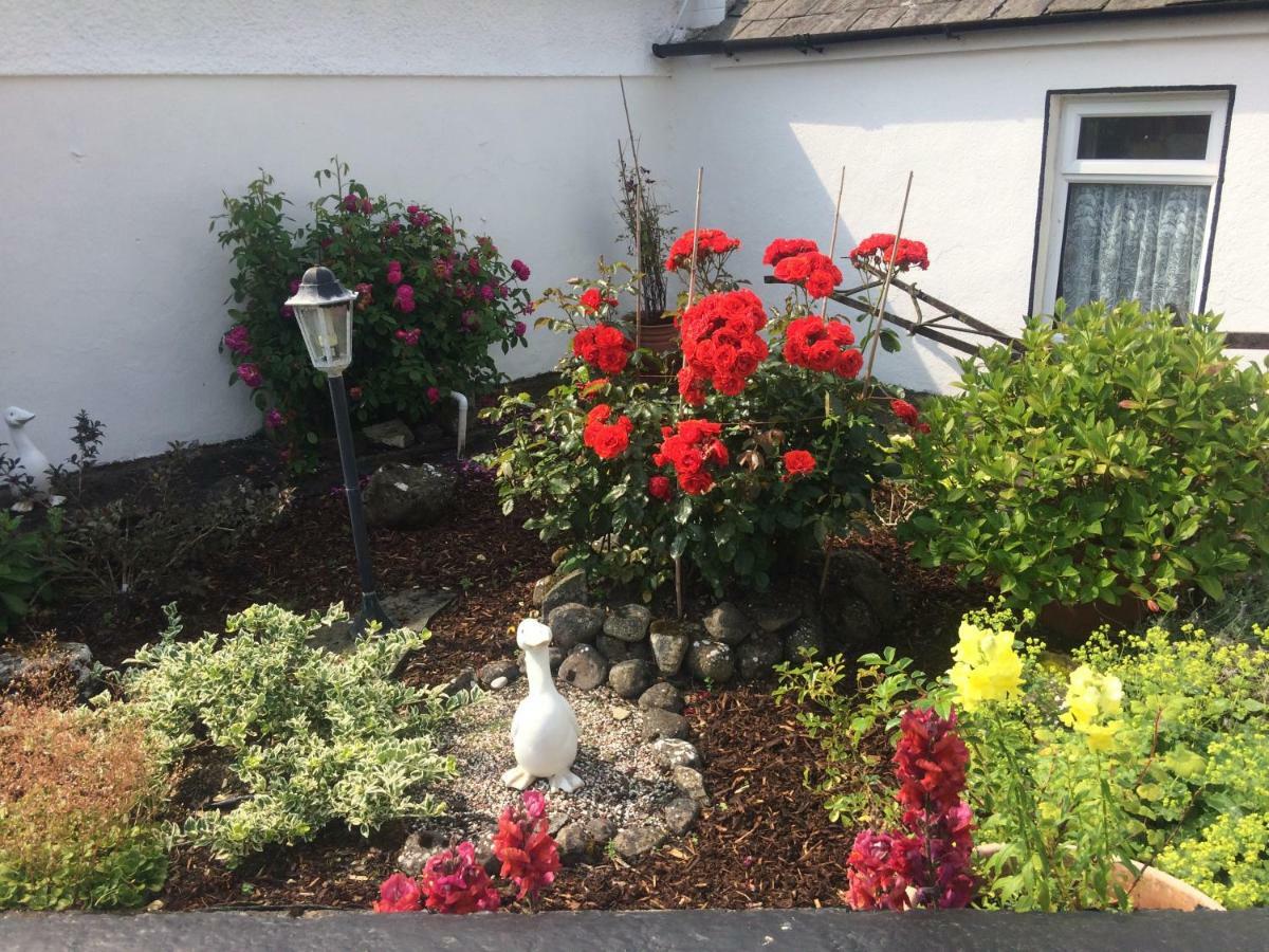 Cummins Cottages Ballycrossaun エクステリア 写真