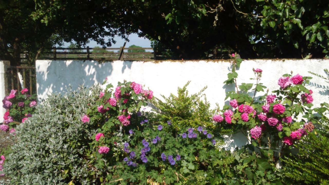 Cummins Cottages Ballycrossaun エクステリア 写真
