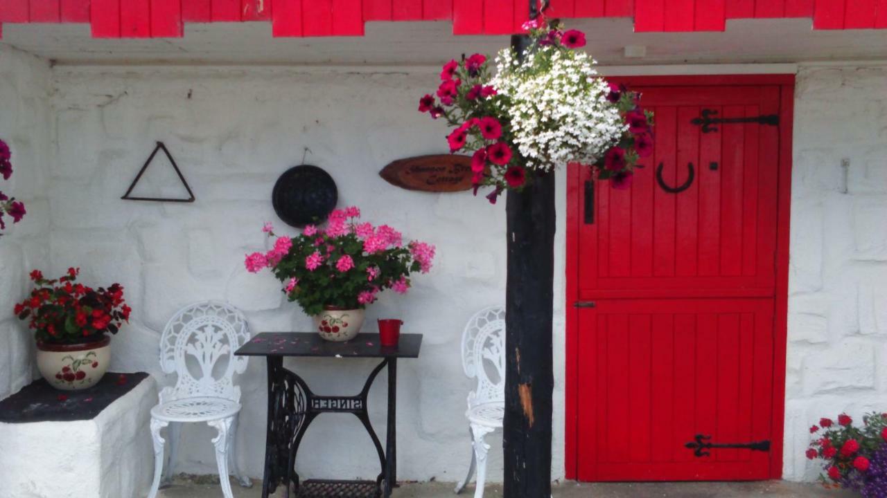 Cummins Cottages Ballycrossaun エクステリア 写真