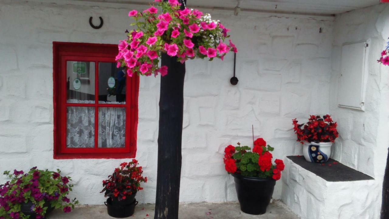 Cummins Cottages Ballycrossaun エクステリア 写真
