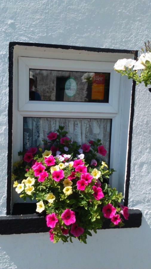 Cummins Cottages Ballycrossaun エクステリア 写真